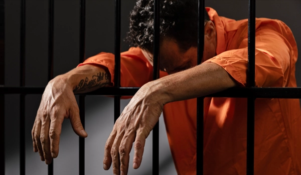 gözaltı avukatı nedir, neye bakar, ne yapar ?